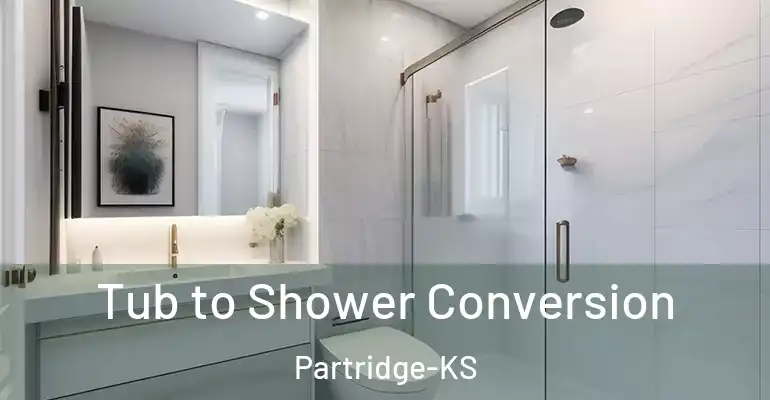inner Bathroom imggen Tub to Shower Conversion Partridge-KS