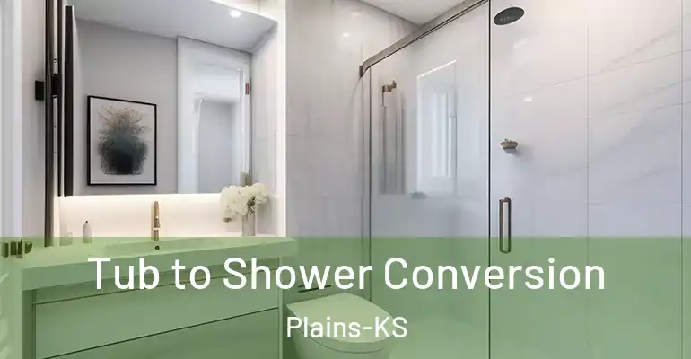 inner Bathroom imggen Tub to Shower Conversion Plains-KS