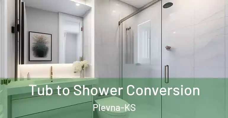 inner Bathroom imggen Tub to Shower Conversion Plevna-KS