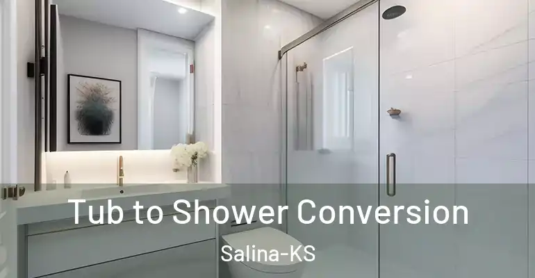 inner Bathroom imggen Tub to Shower Conversion Salina-KS