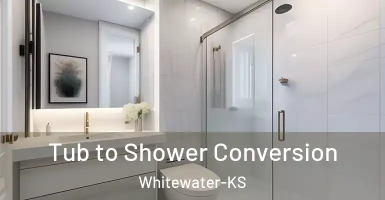 inner Bathroom imggen Tub to Shower Conversion Whitewater-KS