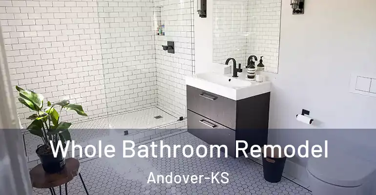 inner Bathroom imggen Whole Bathroom Remodel Andover-KS