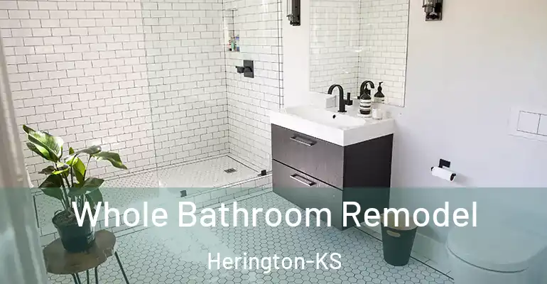 inner Bathroom imggen Whole Bathroom Remodel Herington-KS